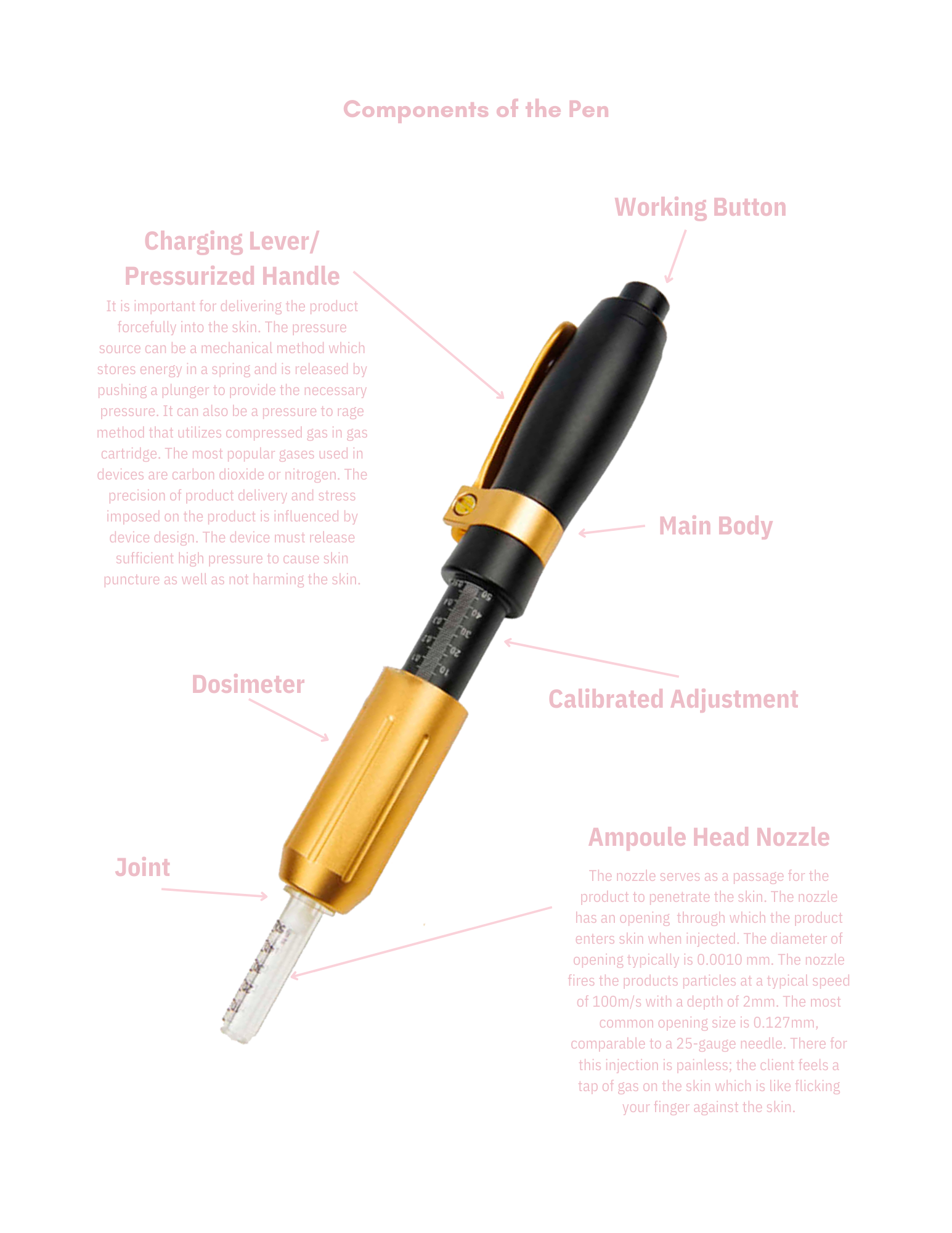 HYALURON PEN EBOOK
