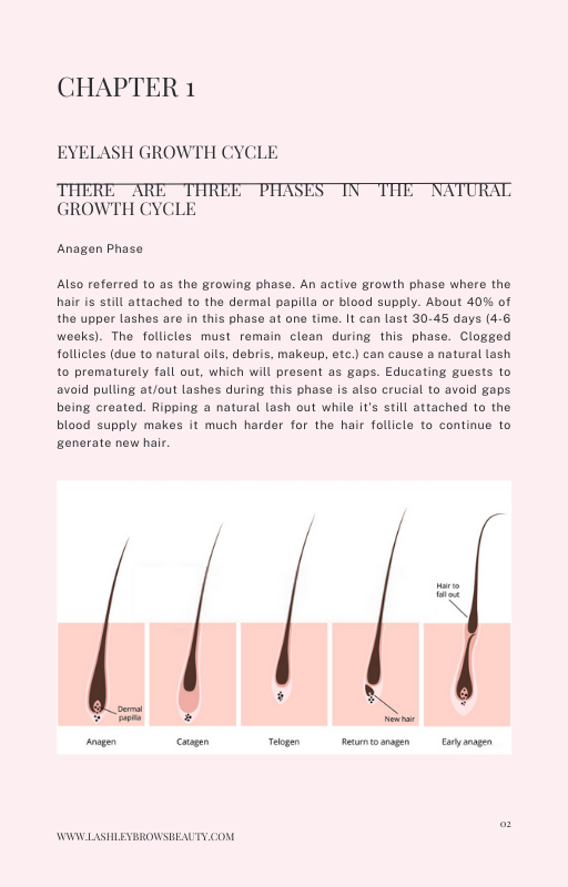 THE ULTIMATE Classic, hybrid & volume Lash Extensions
