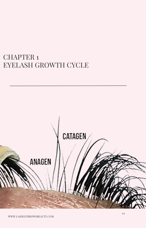 THE ULTIMATE Classic, hybrid & volume Lash Extensions